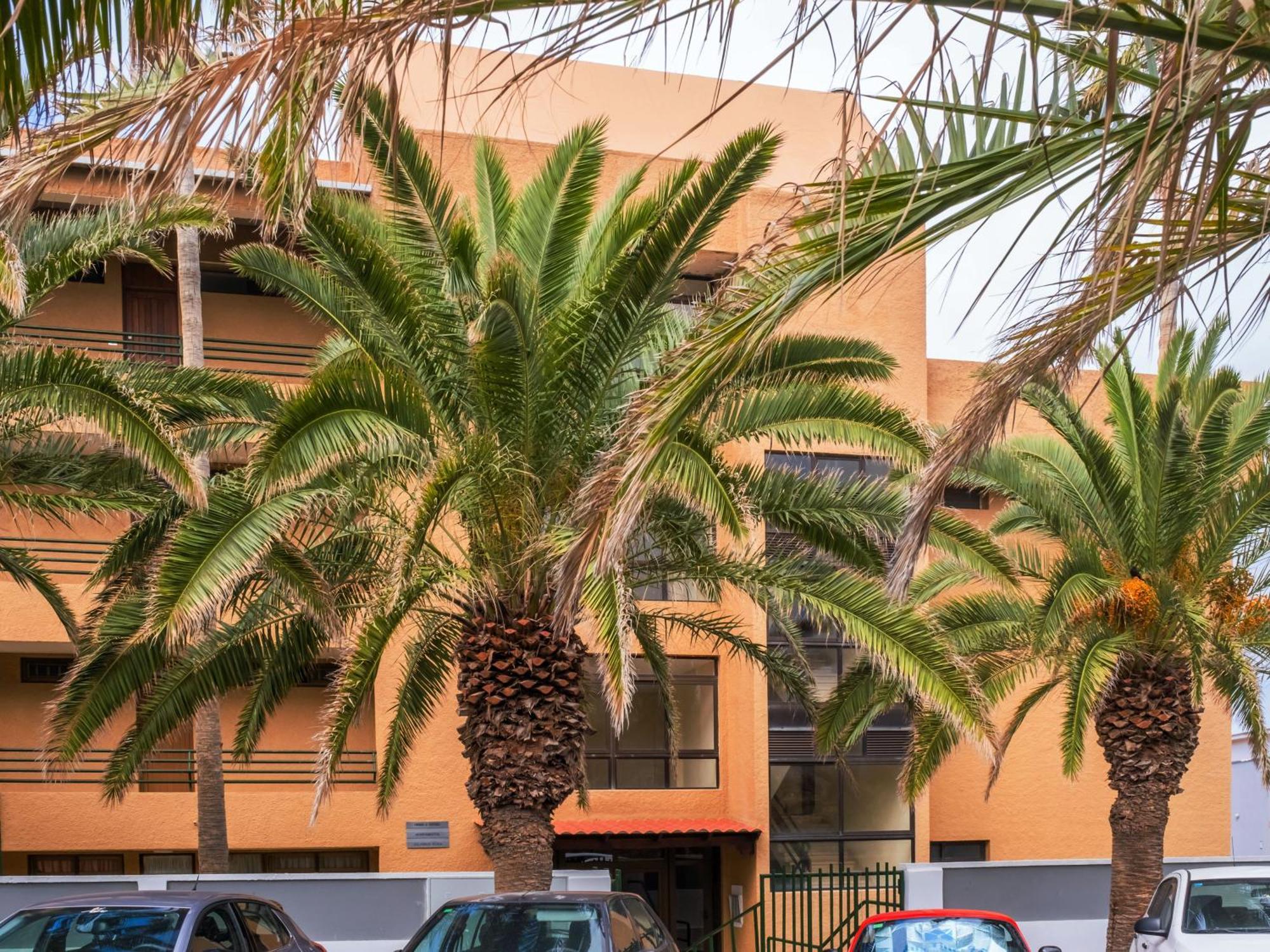 Live Punta Columbus Pool & Beach Front Punta Del Hidalgo Buitenkant foto